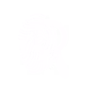 Background Screening Icon
