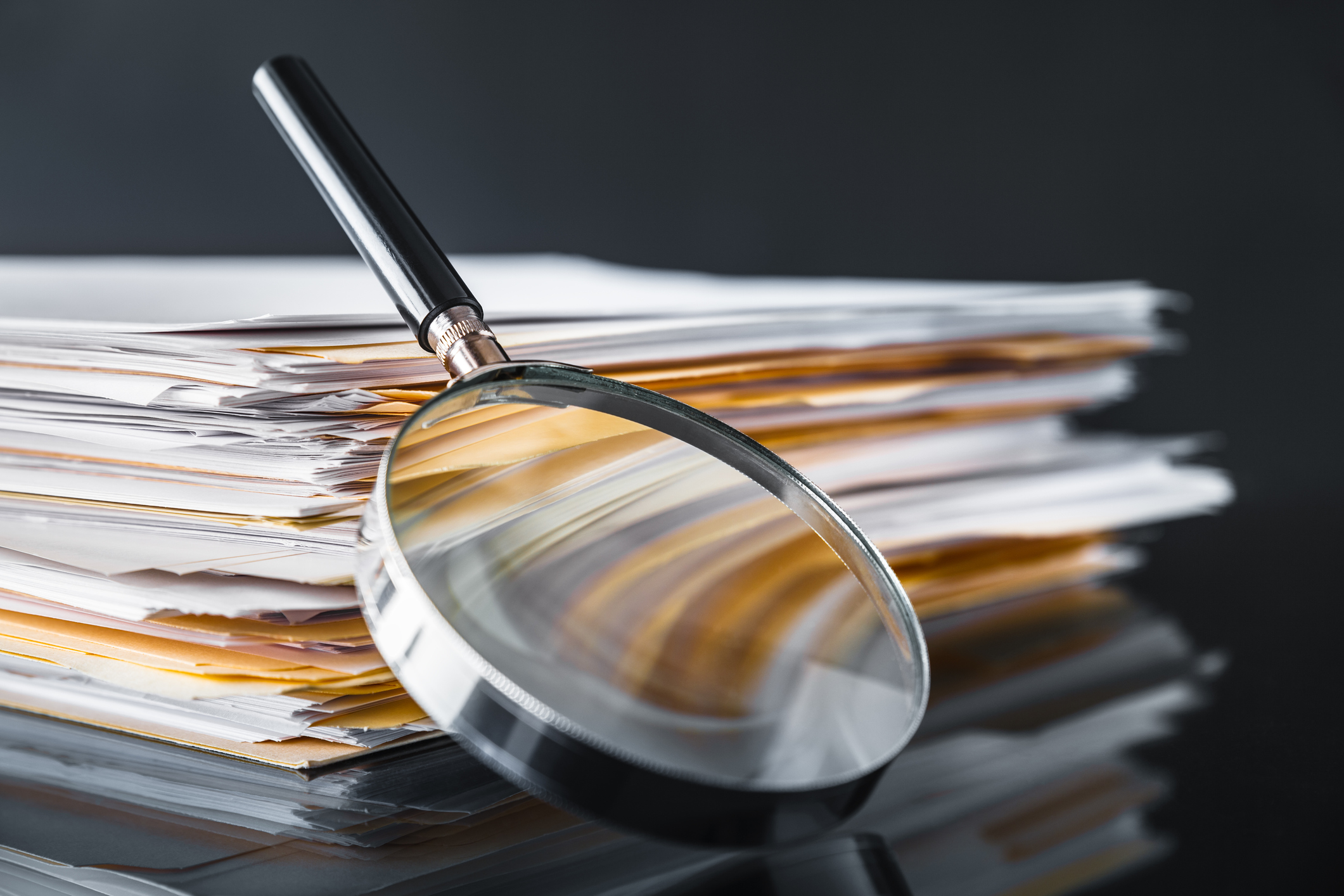 Mamba Background Screening Services - Database Check