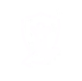 Child Safety Icon
