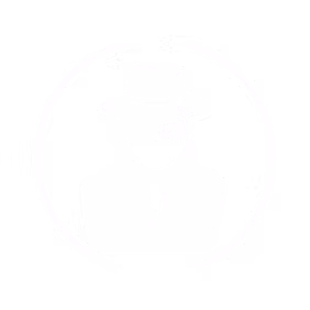 Investigations Icon